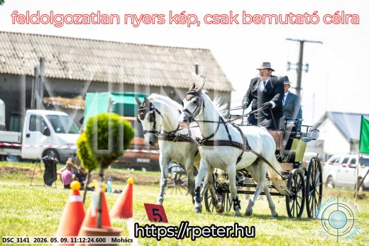 Mintakép 20260509-194