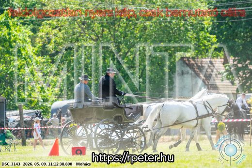 Mintakép 20260509-196