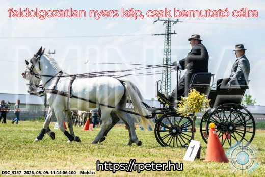 Mintakép 20260509-206