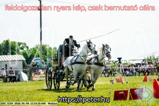 Mintakép 20260509-208