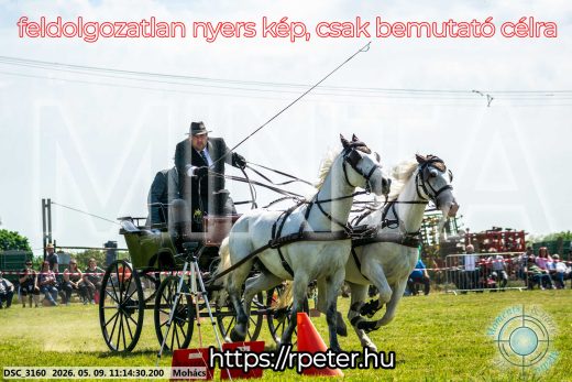Mintakép 20260509-209