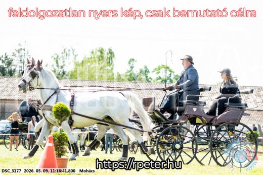 Mintakép 20260509-218