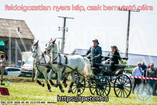 Mintakép 20260509-219
