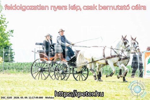 Mintakép 20260509-222
