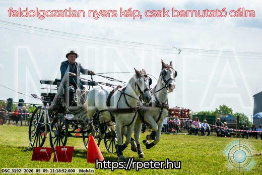 Mintakép 20260509-227