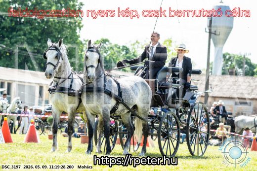 Mintakép 20260509-231