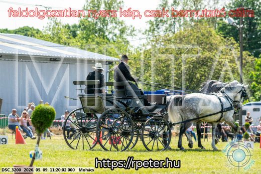 Mintakép 20260509-232