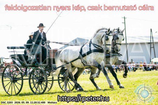 Mintakép 20260509-233