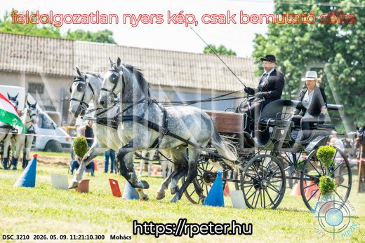 Mintakép 20260509-236