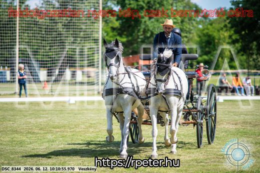 Mintakép 20260612-369