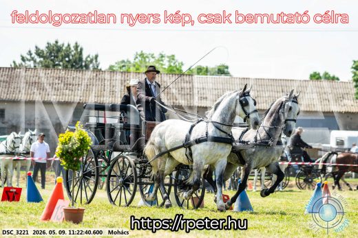 Mintakép 20260509-242
