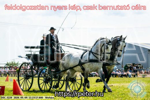 Mintakép 20260509-248