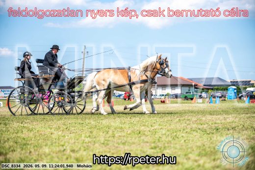 Mintakép 20260509-250