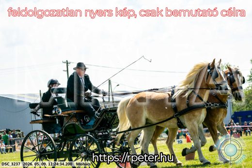 Mintakép 20260509-255