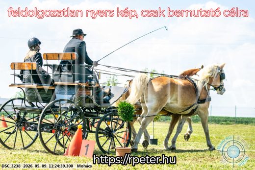 Mintakép 20260509-258