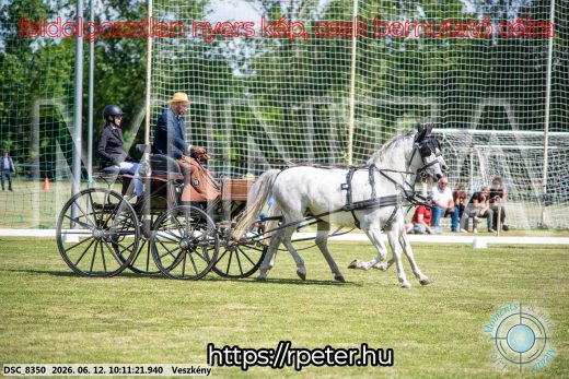 Mintakép 20260612-371