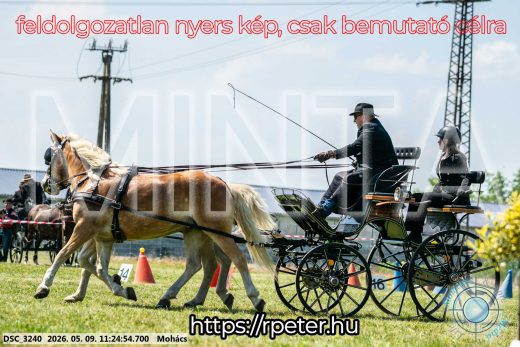 Mintakép 20260509-260