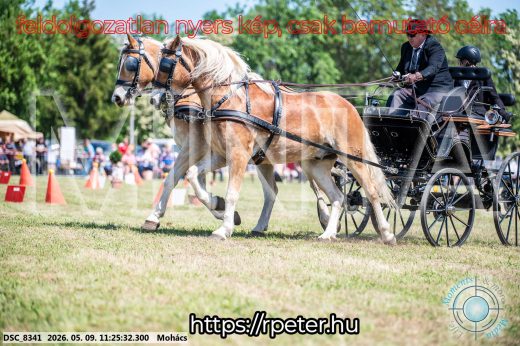 Mintakép 20260509-265