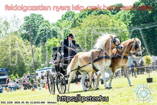 Mintakép 20260509-267