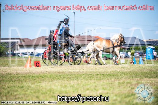 Mintakép 20260509-271