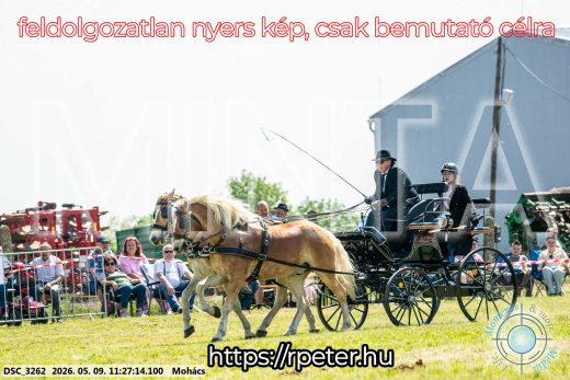 Mintakép 20260509-272