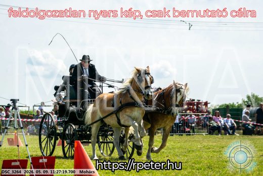 Mintakép 20260509-273