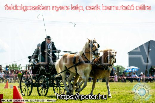 Mintakép 20260509-274