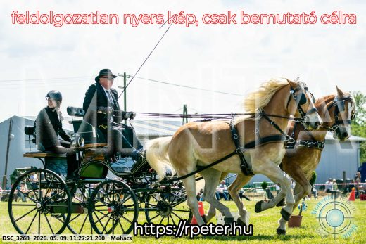 Mintakép 20260509-277