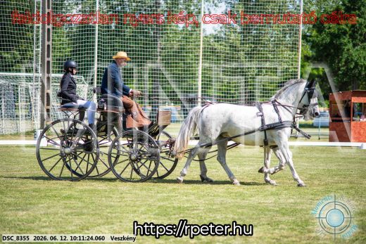 Mintakép 20260612-373