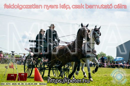 Mintakép 20260509-281