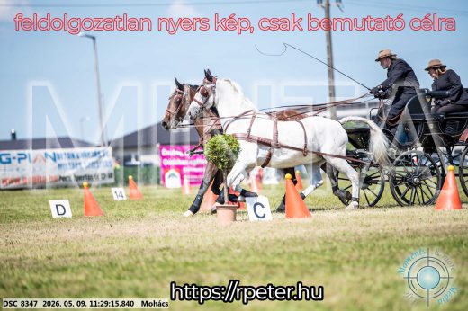 Mintakép 20260509-286