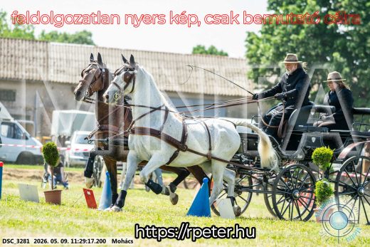 Mintakép 20260509-287