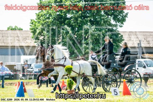 Mintakép 20260509-291