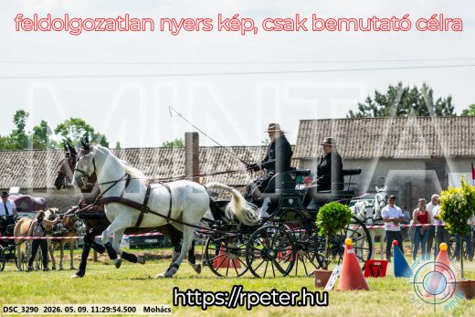 Mintakép 20260509-292