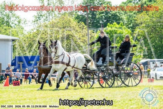 Mintakép 20260509-294