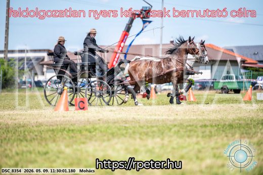 Mintakép 20260509-296