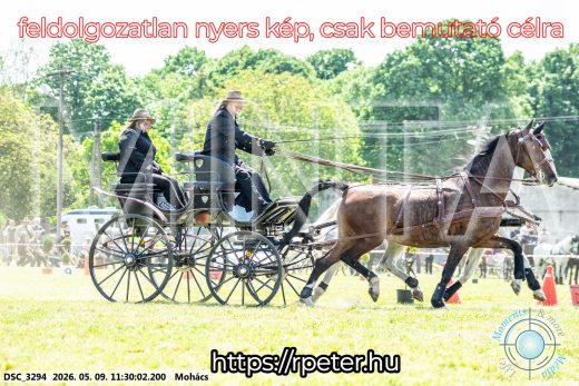Mintakép 20260509-298