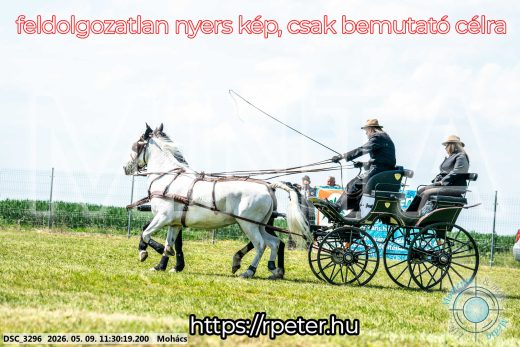 Mintakép 20260509-300