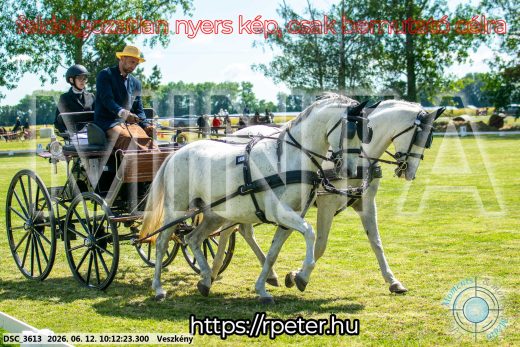 Mintakép 20260612-376