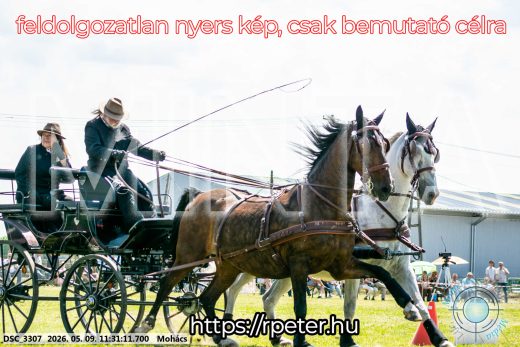 Mintakép 20260509-312