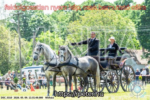 Mintakép 20260509-315
