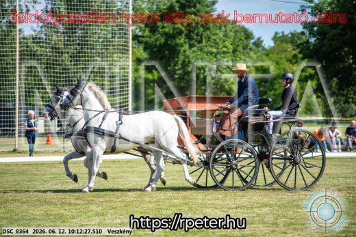 Mintakép 20260612-377