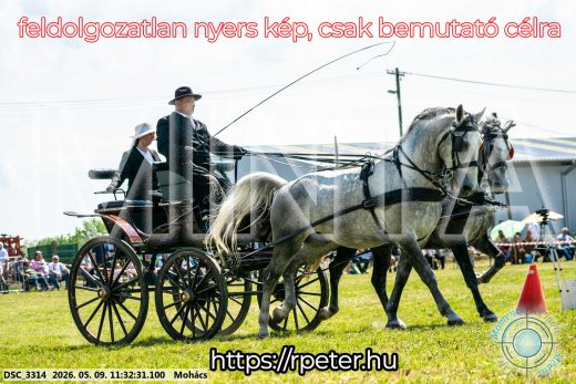 Mintakép 20260509-319