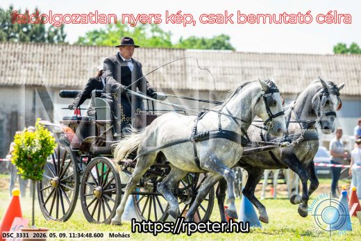 Mintakép 20260509-327