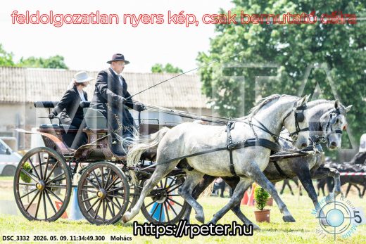 Mintakép 20260509-328