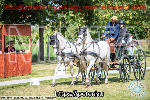 Mintakép 20260612-378