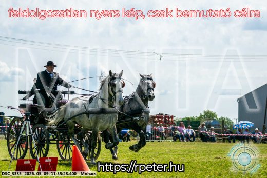 Mintakép 20260509-333