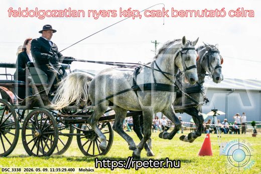 Mintakép 20260509-335