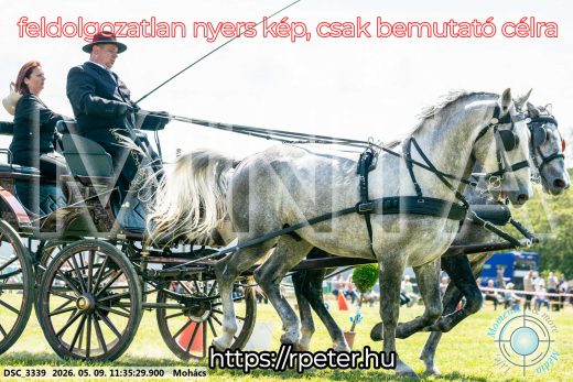 Mintakép 20260509-336