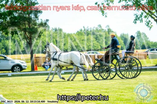 Mintakép 20260612-379